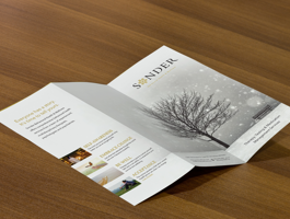 Our Work